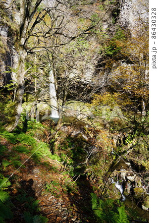 晩秋の大鹿滝3　鳥取県八頭郡若桜町 86430328