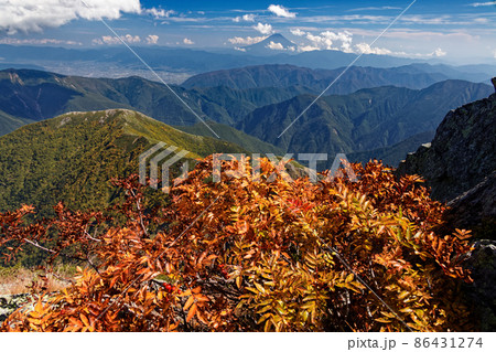 南アルプス・北岳山頂のナナカマドの紅葉と富士山 南アルプス・北岳山頂のナナカマドの紅葉と富士山 86431274