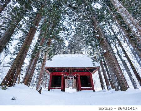 戸隠神社奥社：随神門 86431417