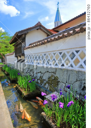【島根県】菖蒲咲く津和野殿町通りの水路 86432760