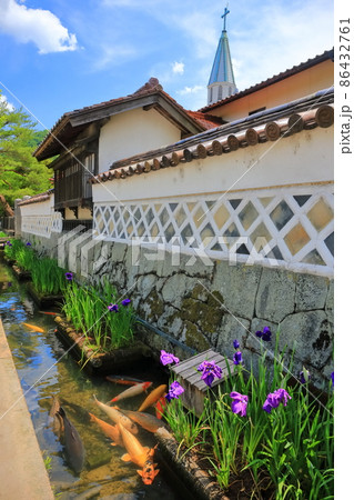 【島根県】菖蒲咲く津和野殿町通りの水路 【島根県】菖蒲咲く津和野殿町通りの水路 86432761