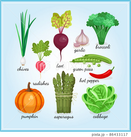 Healthy fresh vegetables icons Healthy fresh vegetables icons 86433117