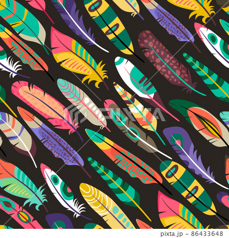Colorful seamless pattern with feathers 86433648