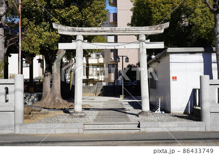 橘樹神社 鳥居 ~横浜市保土ケ谷区~ 橘樹神社 鳥居 ~横浜市保土ケ谷区~ 86433749