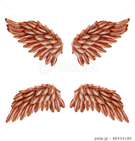 Bird Wing Set Bird Wing Set 86434180