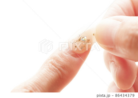 ネイルチップ ネイルチップ 86434379