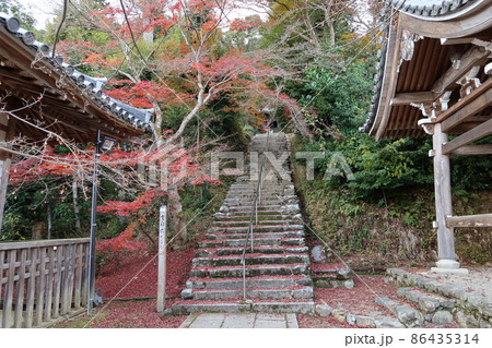京都市嵯峨にある二尊院境内の法然上人廟への階段と紅葉の風景 京都市嵯峨にある二尊院境内の法然上人廟への階段と紅葉の風景 86435314