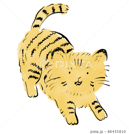 おしゃれな手描きのトラ猫のイラスト素材