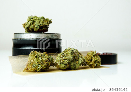 Close-up of medical marijuana buds on white background 86436142
