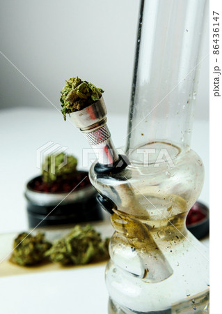 Close-up of medical marijuana buds on white background Close-up of medical marijuana buds on white background 86436147