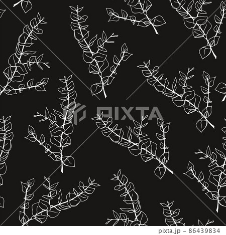 Minimal eucalyptus leaves twig seamless hand drawn pattern Minimal eucalyptus leaves twig seamless hand drawn pattern 86439834