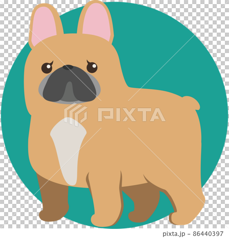 French bulldog 86440397