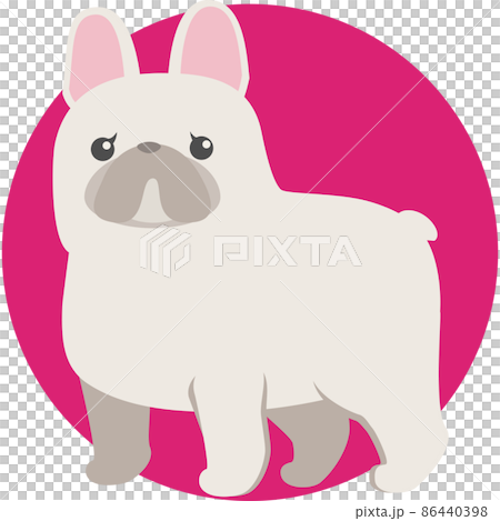 法國鬥牛犬 法國鬥牛犬 86440398