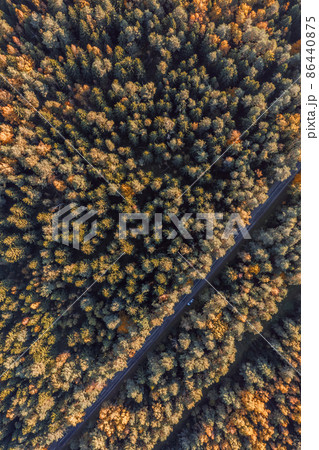 Autumn forest with road cutting through Autumn forest with road cutting through 86440875