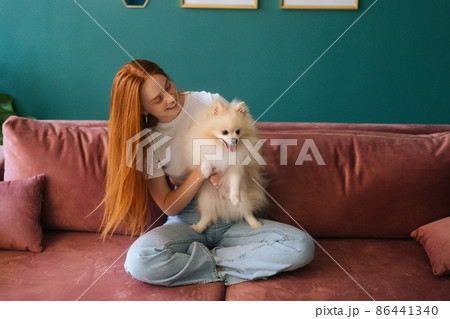 Cheerful young woman sitting on comfortable sofa and holding pretty small white Spitz pet dog at apartment with modern interior. Happy redhead female spending time with doggy at home. Cheerful young woman sitting on comfortable sofa and holding pretty small white Spitz pet dog at apartment with modern interior. Happy redhead female spending time with doggy at home. 86441340