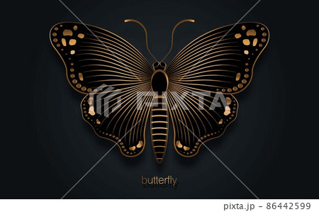 Gold luxury decorative Butterfly Slogan with black Butterfly logo template illustration. Vector Design for Fashion, Poster and Card Prints, Company, jewellery, isolated on black background 86442599