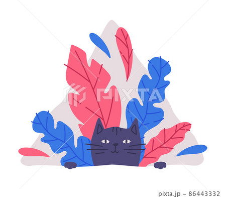 Cute Cat Animal Peeking Out of Window with Colorful Foliage Vector Illustration Cute Cat Animal Peeking Out of Window with Colorful Foliage Vector Illustration 86443332