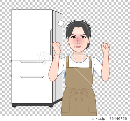 冷蔵庫と女性 冷蔵庫と女性 86446766