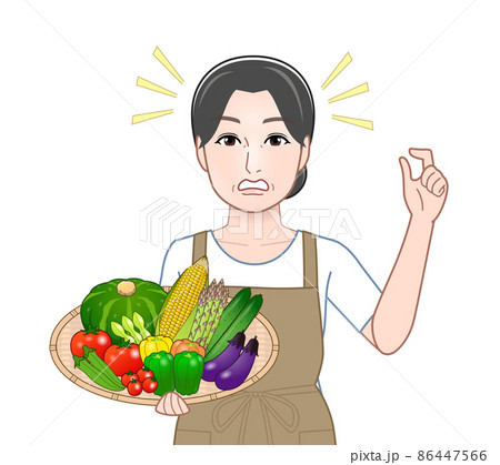 夏野菜を持った女性 86447566