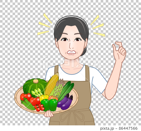 夏野菜を持った女性 86447566
