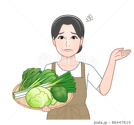 冬野菜を持った女性 冬野菜を持った女性 86447614