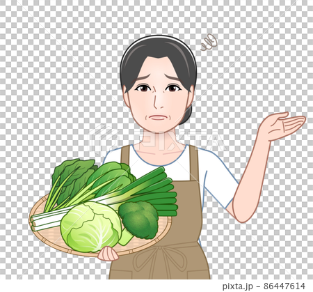 冬野菜を持った女性 冬野菜を持った女性 86447614