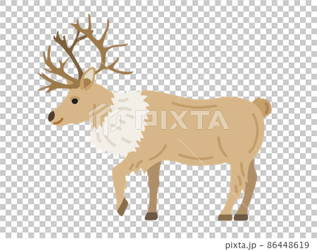 從側面看到的馴鹿插圖 86448619