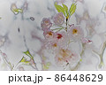 桜　アート 86448629