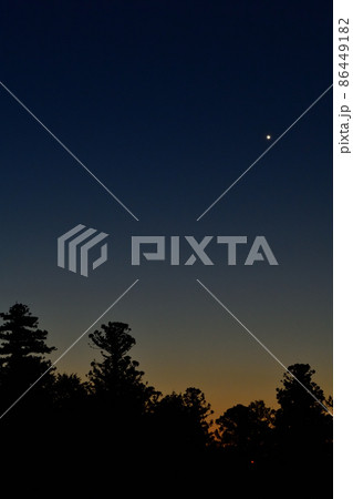 北杜市白州町、夜明けの空、杉木立の上に昇った明けの明星 86449182