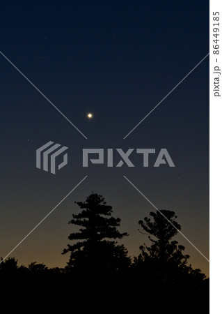 北杜市白州町、夜明けの空、杉木立の上に昇った明けの明星 北杜市白州町、夜明けの空、杉木立の上に昇った明けの明星 86449185