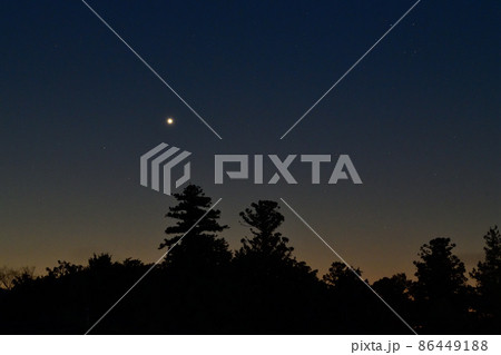 北杜市白州町、夜明けの空、杉木立の上に昇った明けの明星 86449188