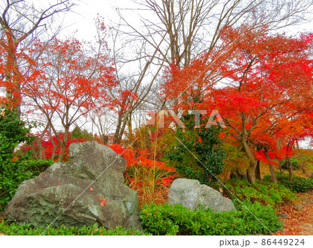 桜山公園 三波石と日本庭園 桜山公園 三波石と日本庭園 86449224