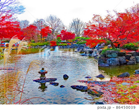 桜山公園　　三波石と日本庭園 86450039
