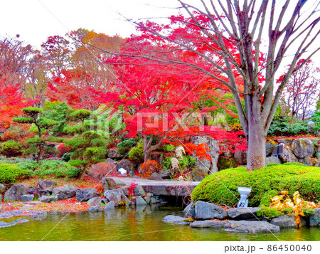 桜山公園　　三波石と日本庭園 86450040