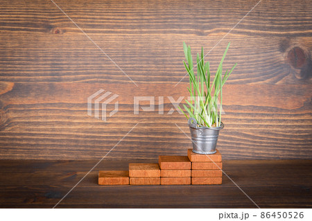 Spring grass in metal bucket on a wooden step 86450526