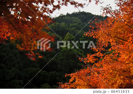 山と紅葉 山と紅葉 86451635