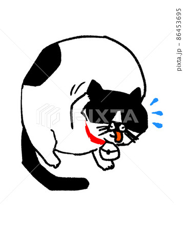 ブブ＿照れる 86453695