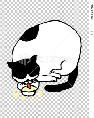 ブブ_食事中 ブブ_食事中 86453700