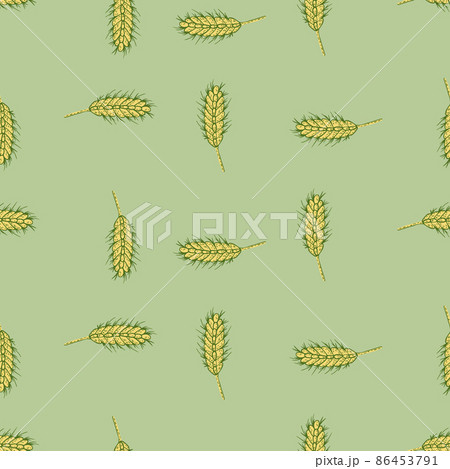 Wheat seamless pattern. Cereal crop sketch. 86453791