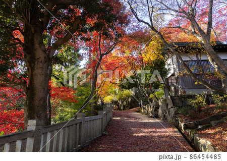 柳谷観音楊谷寺 86454485