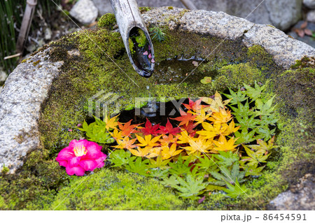 柳谷観音楊谷寺の花手水 86454591