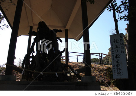 玉津島神社 玉津島神社 86455037