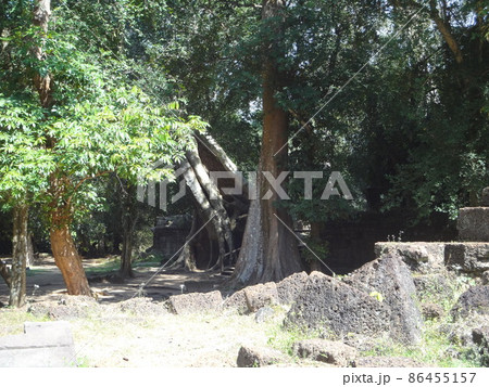 カンボジアのアンコール遺跡群　タ・プローム 86455157