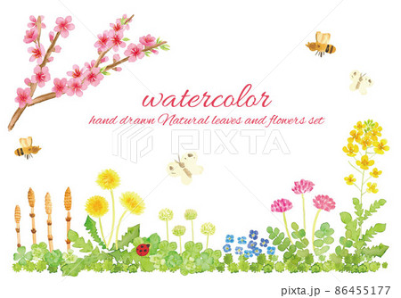 手書きの春の野の花 86455177