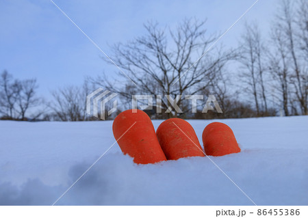 雪下野菜　雪中保存　ニンジン　イメージ 86455386