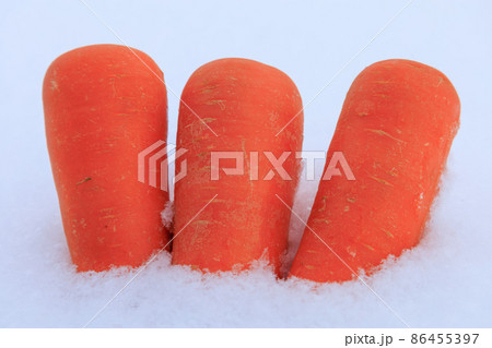 雪下野菜　雪中保存　ニンジン　イメージ 86455397
