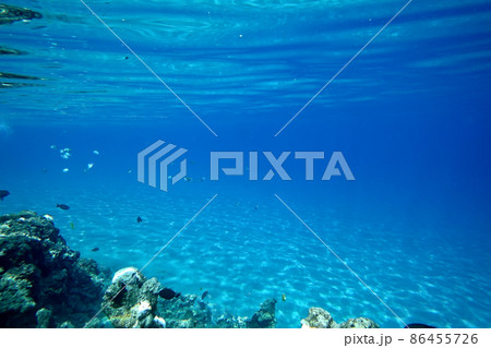 Underwater background Underwater background 86455726