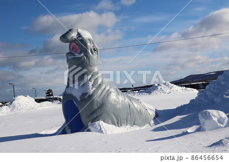 真冬のアザラシの像 86456654