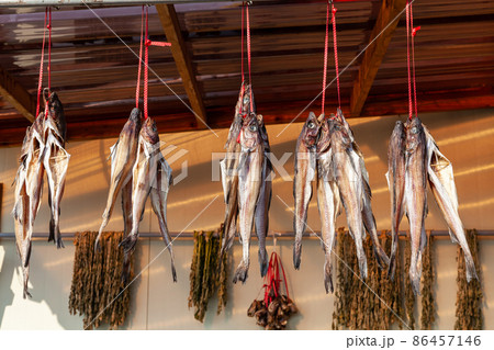 漁村 干し明太 乾燥 86457146