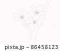桜3輪　ソメイヨシノ　ペン画　シンプル 86458123